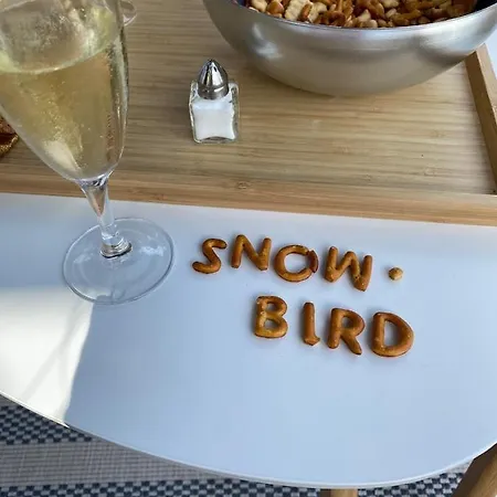 Botel Hausboot Snowbird